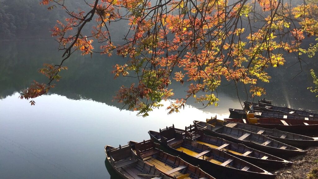 lake, boats, dock-6192072.jpg